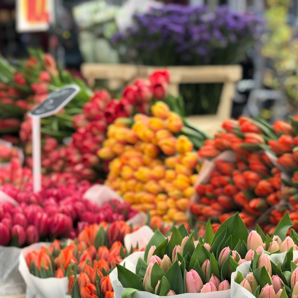 Markets in The Hague (1)